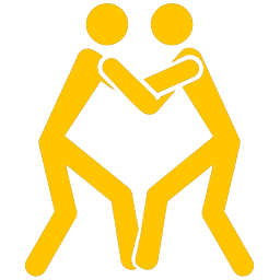 icon2